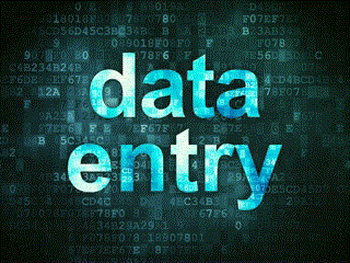 data_entry.gif